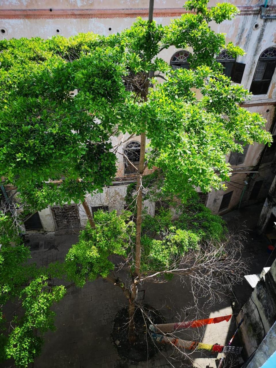 Bottoms Up Hostel Zanzibar Ngoại thất bức ảnh